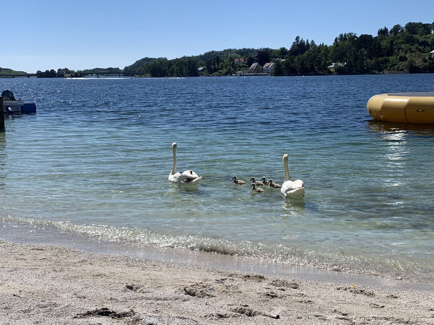 Furre Beach på Sjernarøy